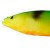30cm 56g+6g 2+2 #04 Firetiger 45013  +5,00€